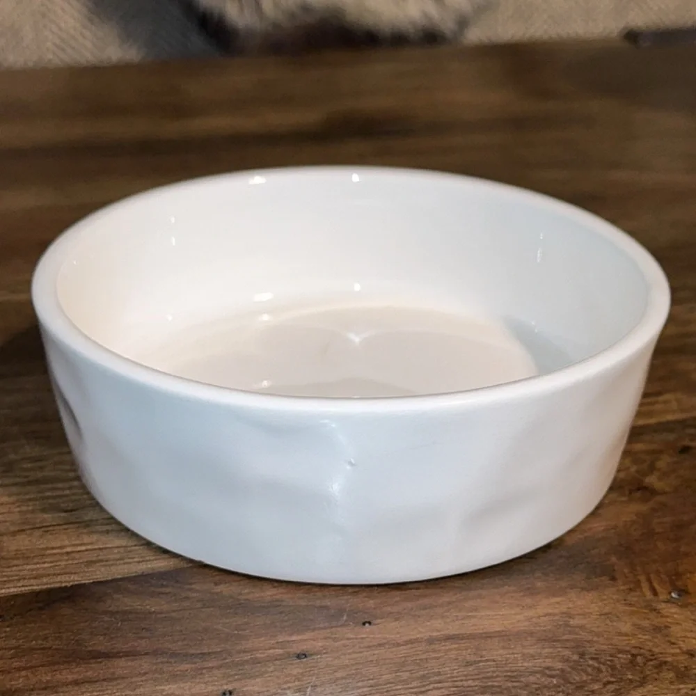 RAE DUNN Pet/Cat Ceramic White Bowl with Fish Image Fish Bowl
